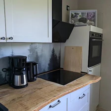 Apartment Waldseeblick Hahnenklee Goslar