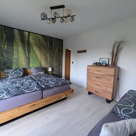 Waldseeblick Hahnenklee Apartment *