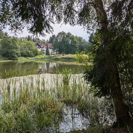 Apartment Waldseeblick Hahnenklee *